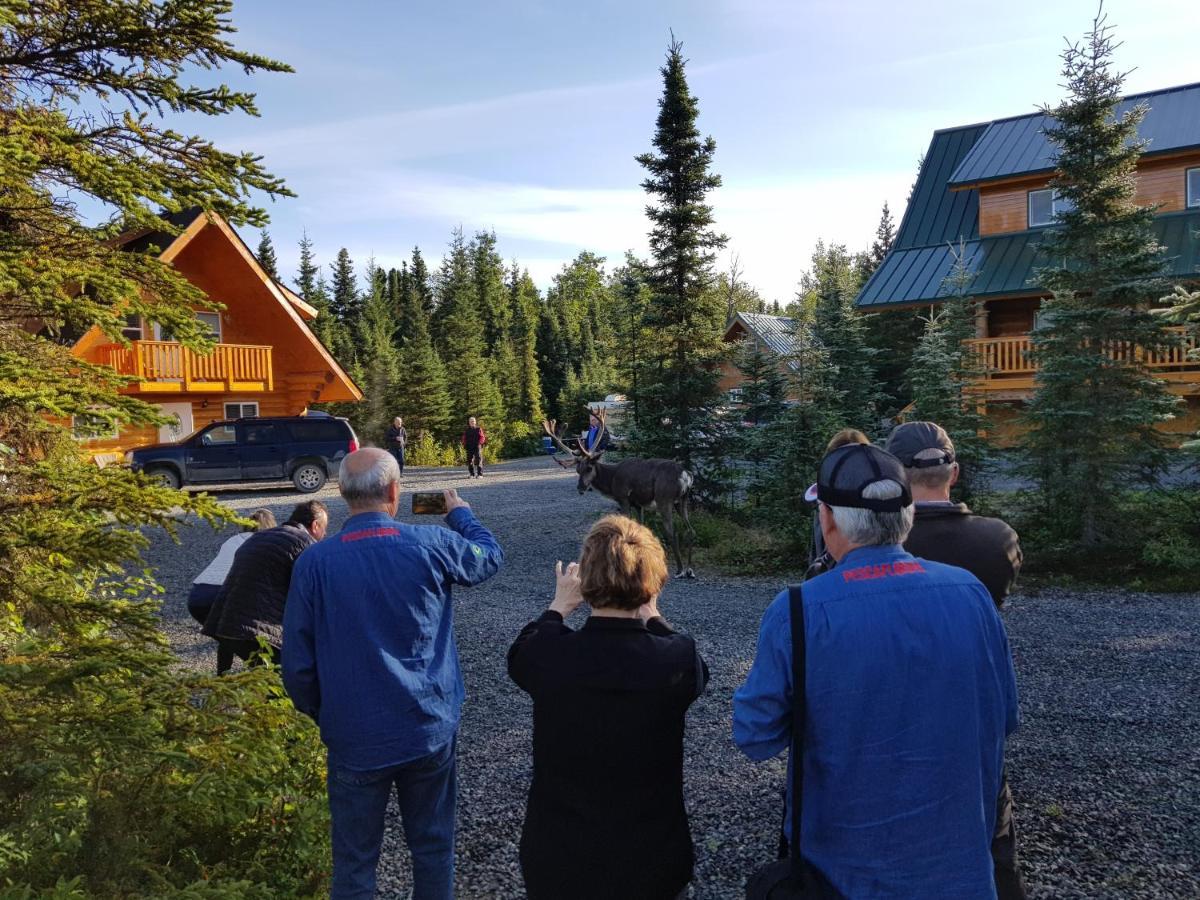 Salmon Catcher Lodge Kenai Exteriör bild